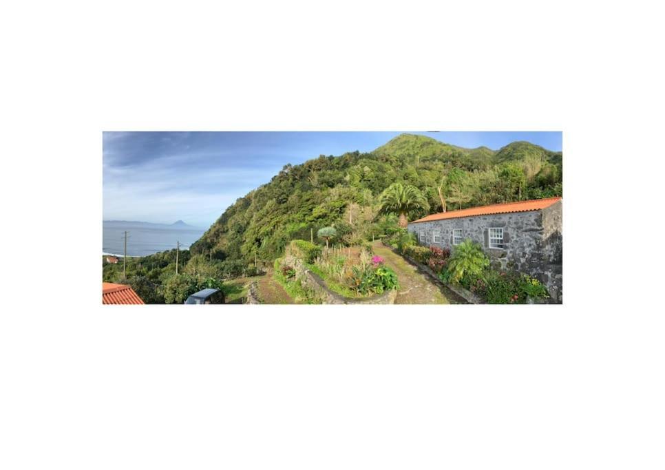 Vistalinda Farmhouse Faja dos Vimes Luaran gambar