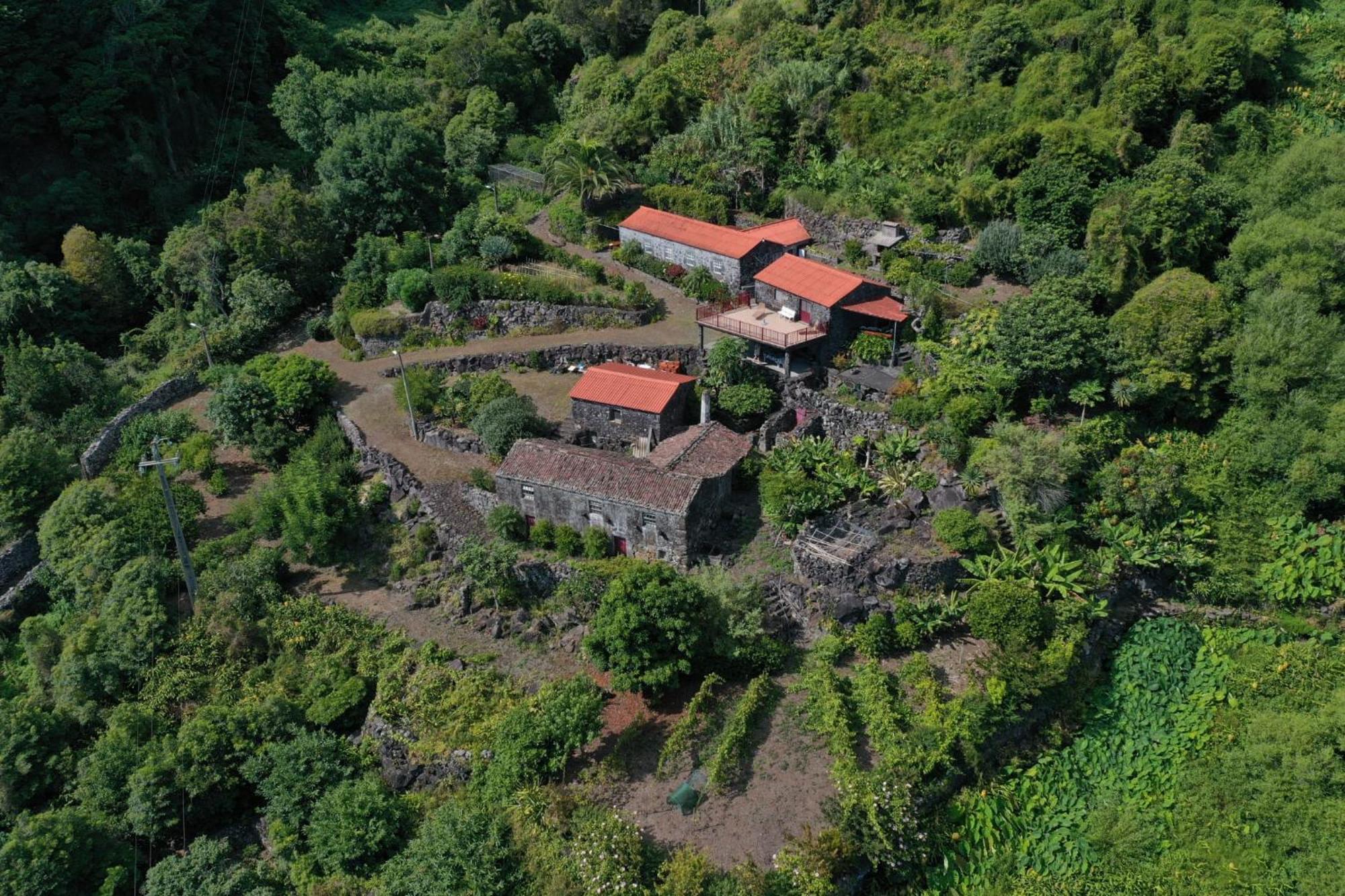 Vistalinda Farmhouse Faja dos Vimes Luaran gambar